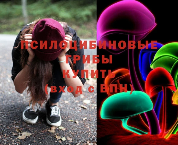 мдпв Армянск