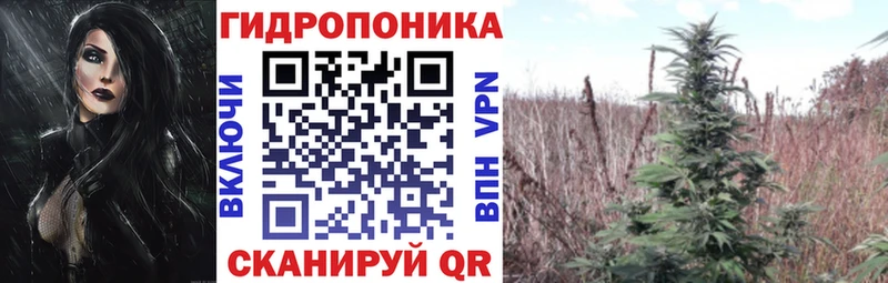 как найти закладки  Ясный  Марихуана AK-47 